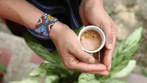 Ritual de ayahuasca em meio à floresta, com elementos sagrados e atmosfera espiritual.