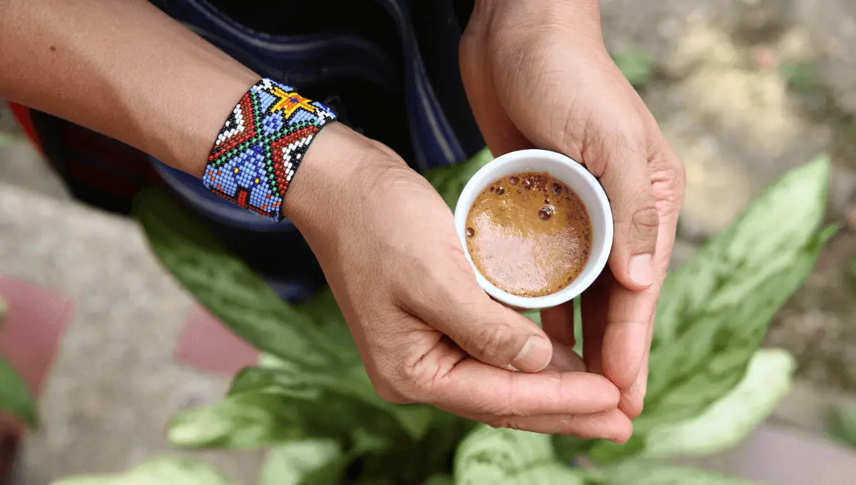 Ritual de ayahuasca em meio à floresta, com elementos sagrados e atmosfera espiritual.